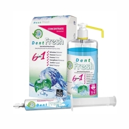 DENT FRESH ORIGINAL
