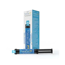 TheraCal PT 4g Bisco